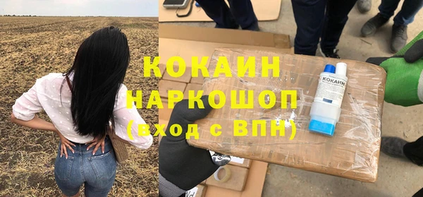 spice Кинешма